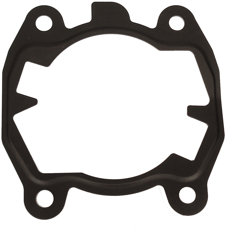 Cylinder gasket