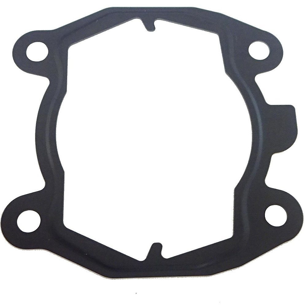 Cylinder gasket