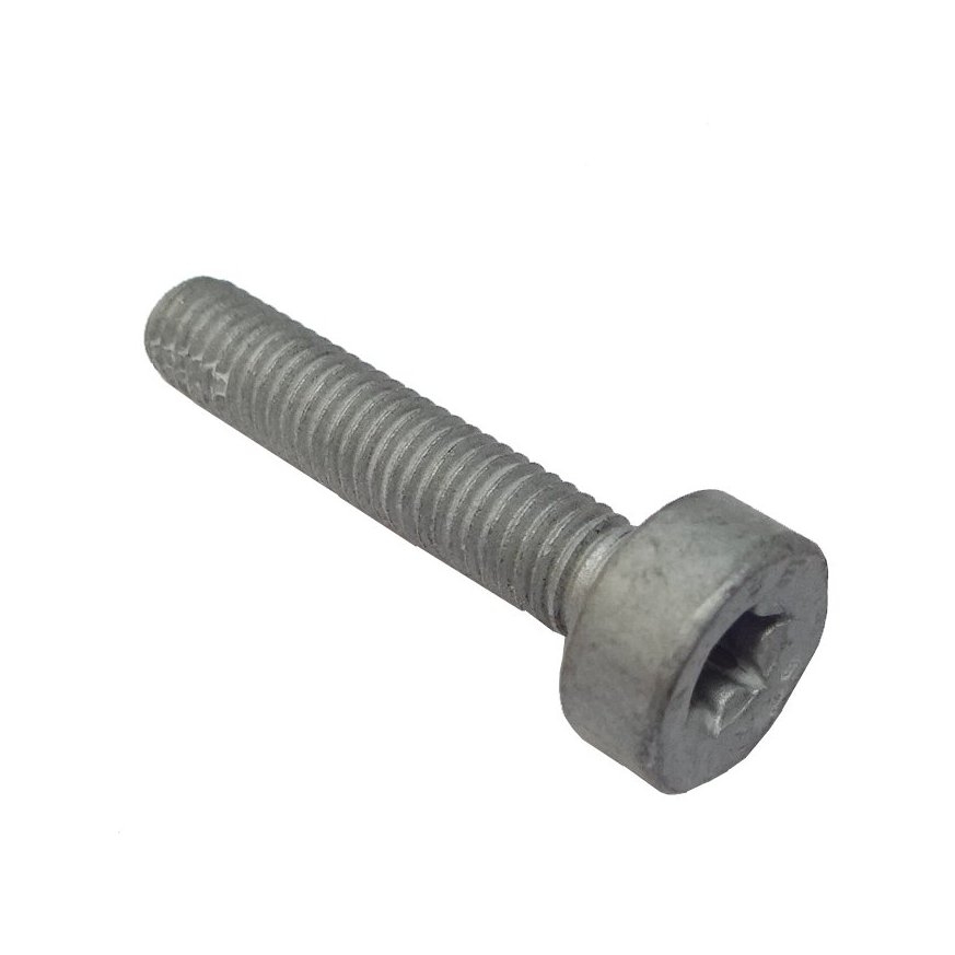 Spline Screw Is-M5x25