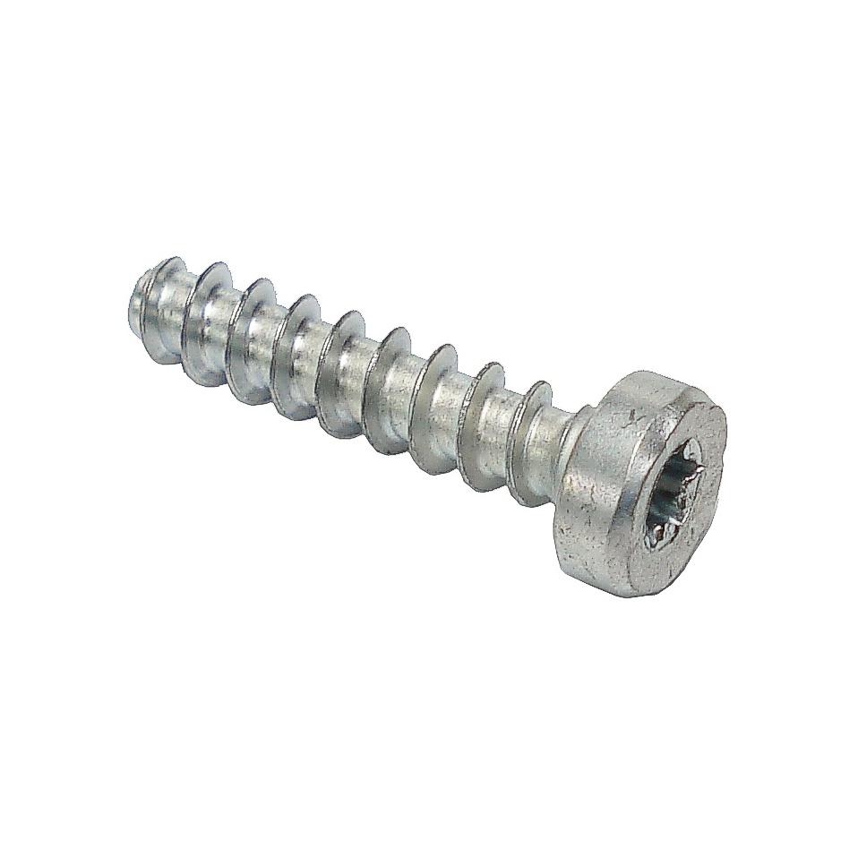 Pan head self-tapping screw IS-P6x26.5